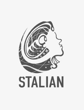 Stylian for Black T-Shirt